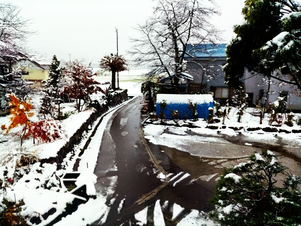 初雪ページ 仕残した作業があるのに初雪が来た！ - 南魚沼 元純手打ちそば処「牧之