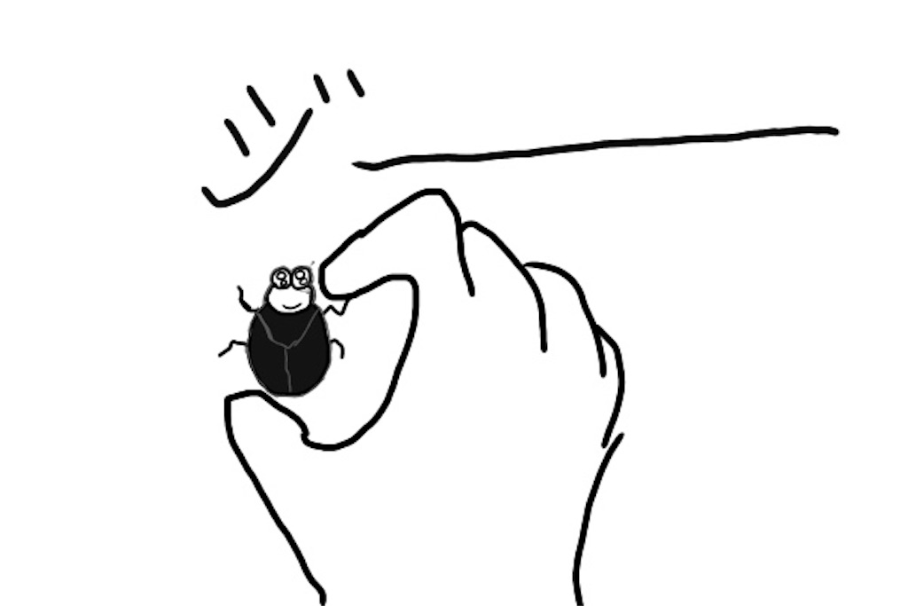 カツオブシムシのイラスト
