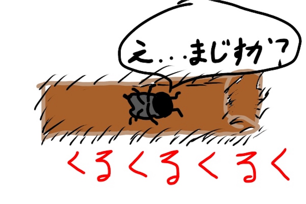 ガムテープと虫のイラスト