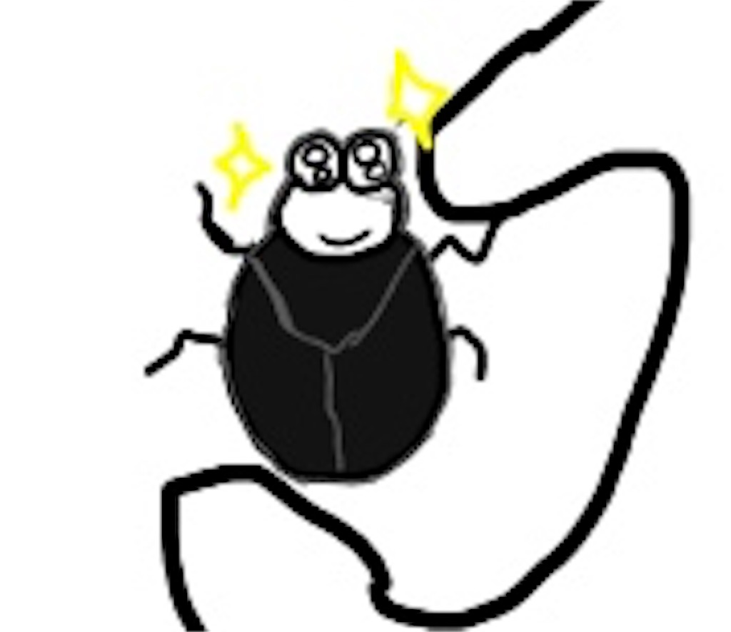 カツオブシムシのイラスト