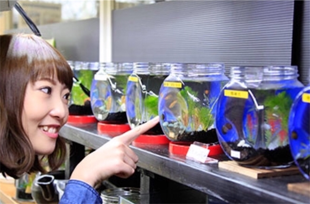 f:id:bokutokazokutosonota:20200114152031j:image f:id:bokutokazokutosonota:20200114152031j:image