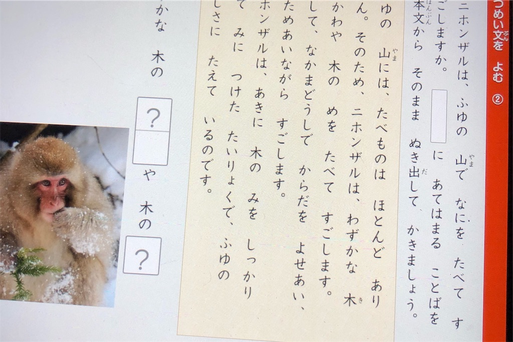 f:id:bokutokazokutosonota:20200229234517j:image f:id:bokutokazokutosonota:20200229234517j:image