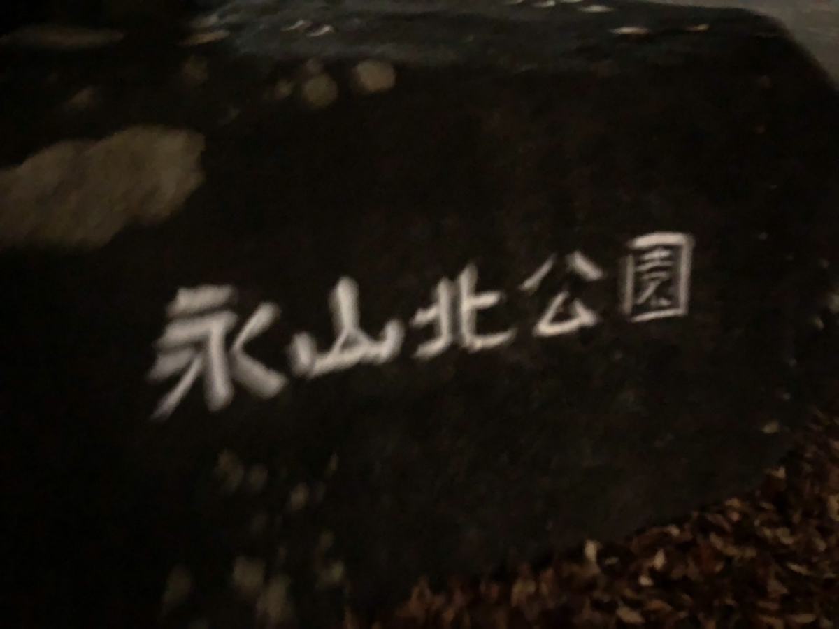 f:id:bokutonuigurumimarure:20191125194318j:plain f:id:bokutonuigurumimarure:20191125194318j:plain