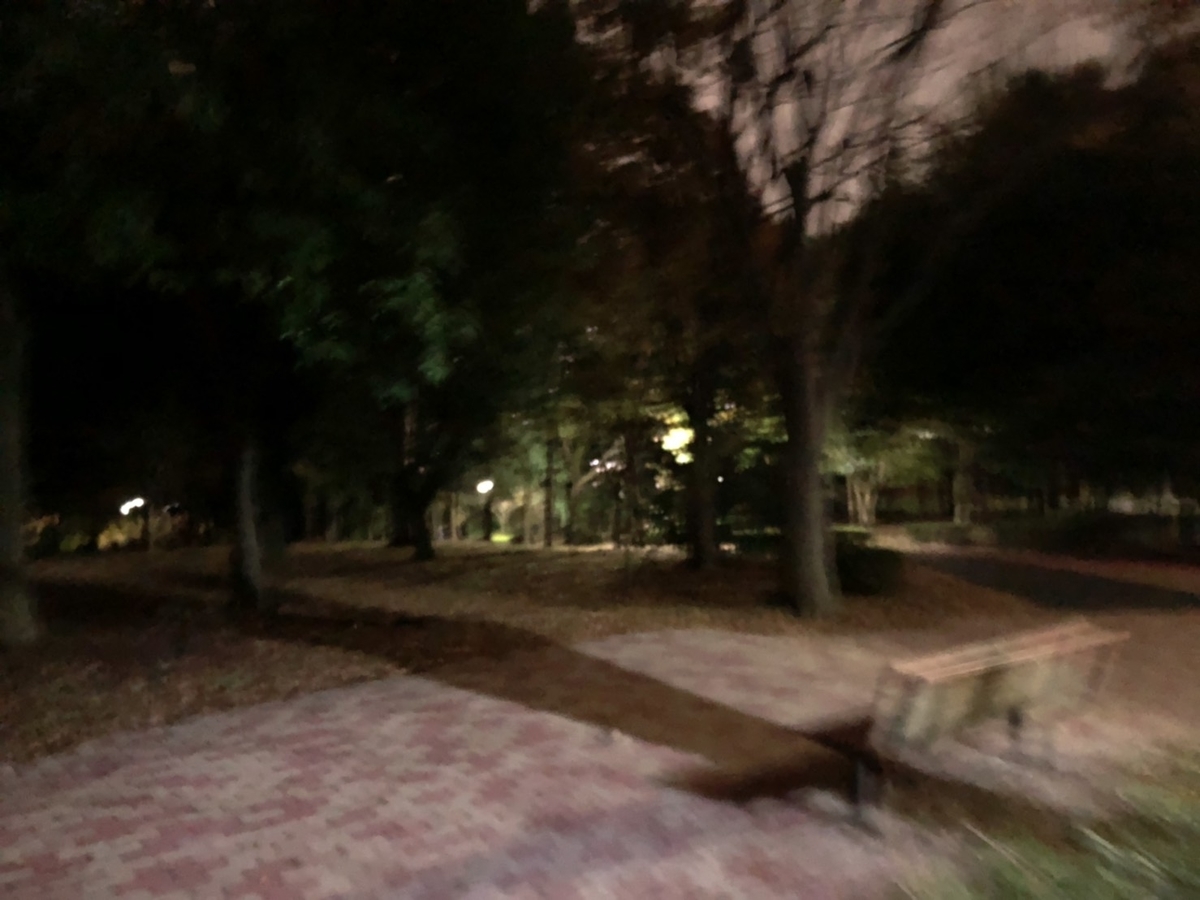 f:id:bokutonuigurumimarure:20191125194524j:plain f:id:bokutonuigurumimarure:20191125194524j:plain
