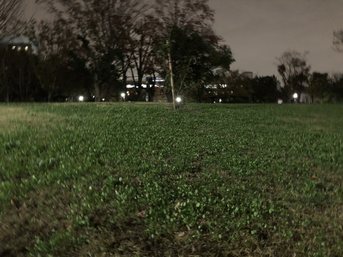 f:id:bokutonuigurumimarure:20191125194607j:plain f:id:bokutonuigurumimarure:20191125194607j:plain