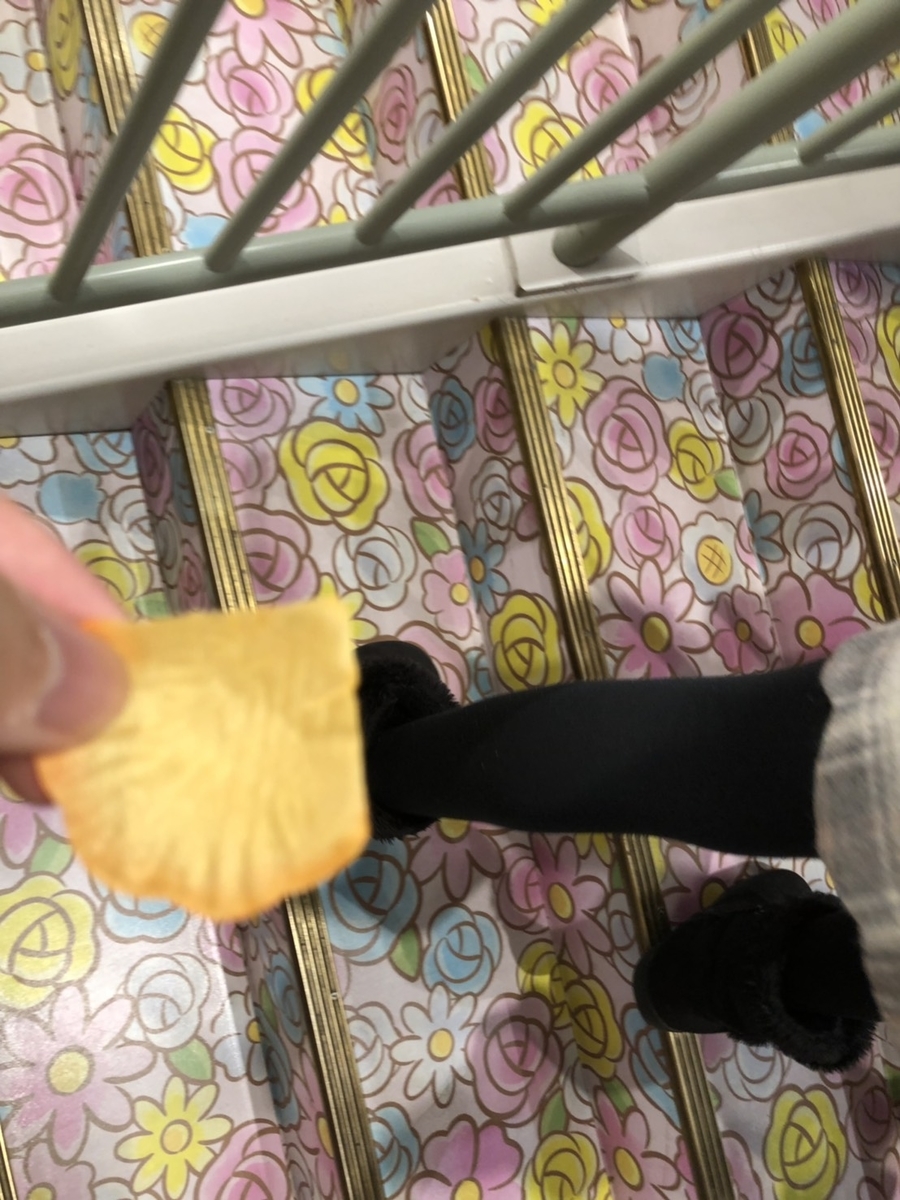 f:id:bokutonuigurumimarure:20191125224545j:plain f:id:bokutonuigurumimarure:20191125224545j:plain