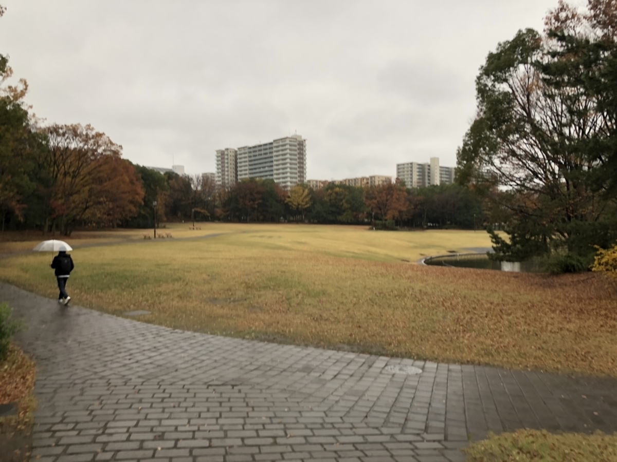 f:id:bokutonuigurumimarure:20191127111239j:plain f:id:bokutonuigurumimarure:20191127111239j:plain