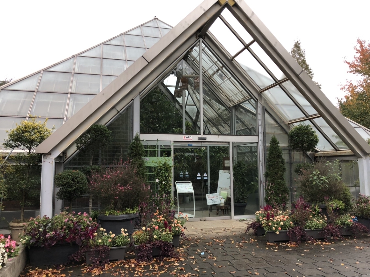 f:id:bokutonuigurumimarure:20191127112908j:plain f:id:bokutonuigurumimarure:20191127112908j:plain