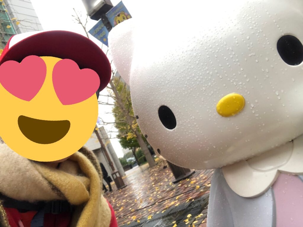 f:id:bokutonuigurumimarure:20191127120845j:image f:id:bokutonuigurumimarure:20191127120845j:image