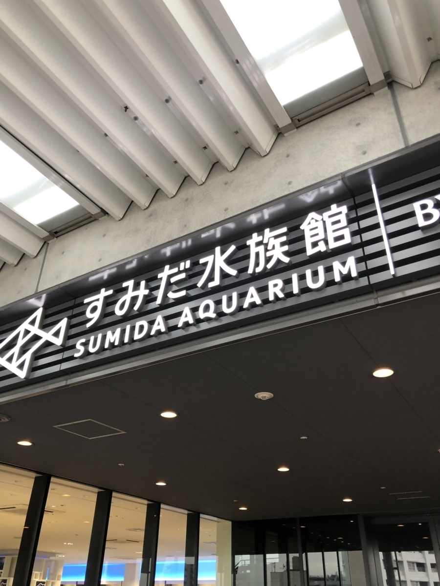 f:id:bokutonuigurumimarure:20191127213529j:plain f:id:bokutonuigurumimarure:20191127213529j:plain