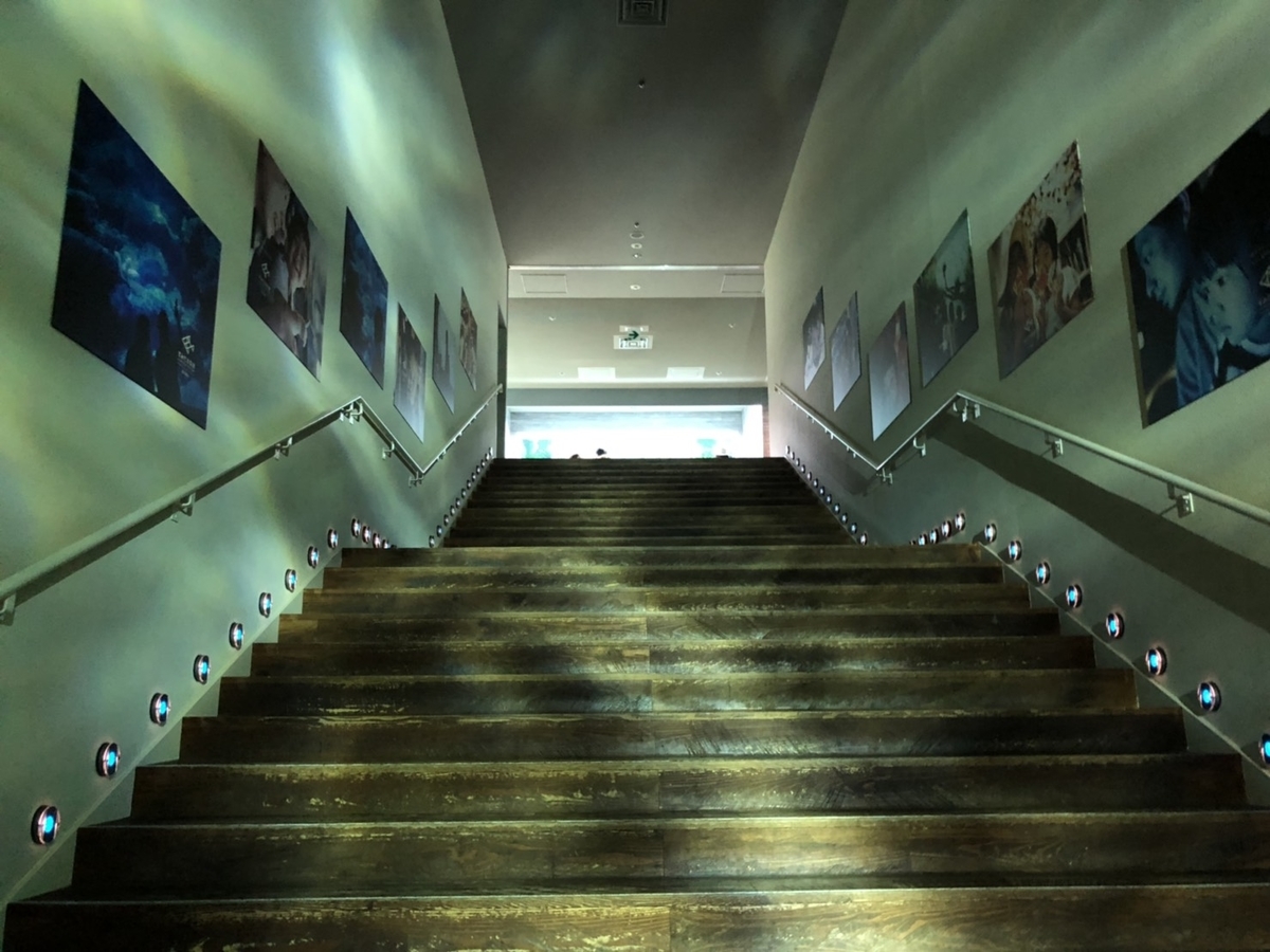 f:id:bokutonuigurumimarure:20191127220054j:plain f:id:bokutonuigurumimarure:20191127220054j:plain