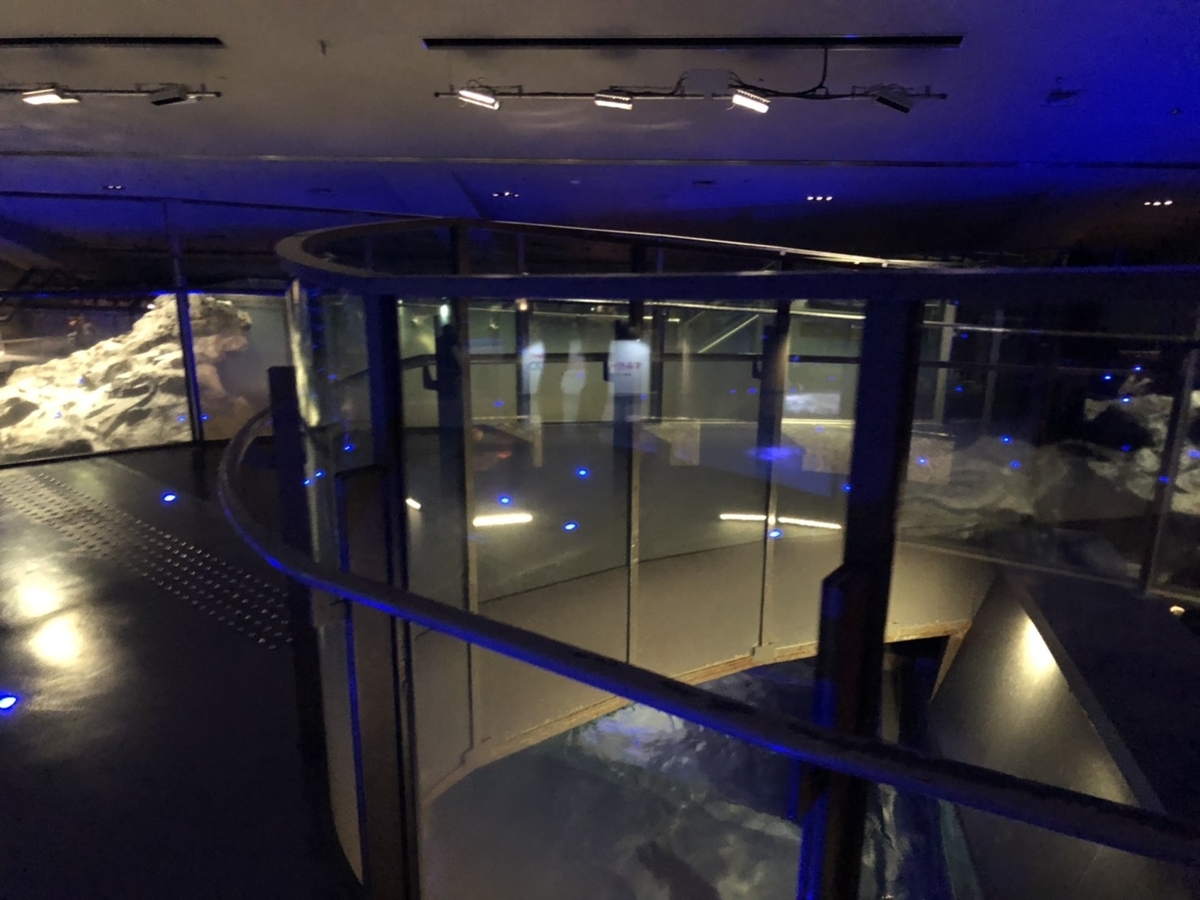 f:id:bokutonuigurumimarure:20191127221718j:plain f:id:bokutonuigurumimarure:20191127221718j:plain