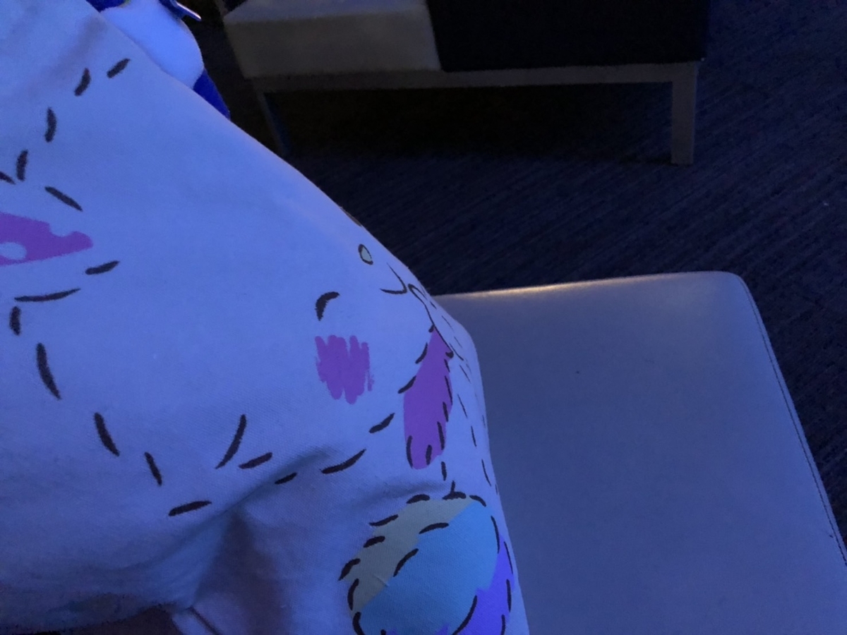 f:id:bokutonuigurumimarure:20191127222305j:plain f:id:bokutonuigurumimarure:20191127222305j:plain