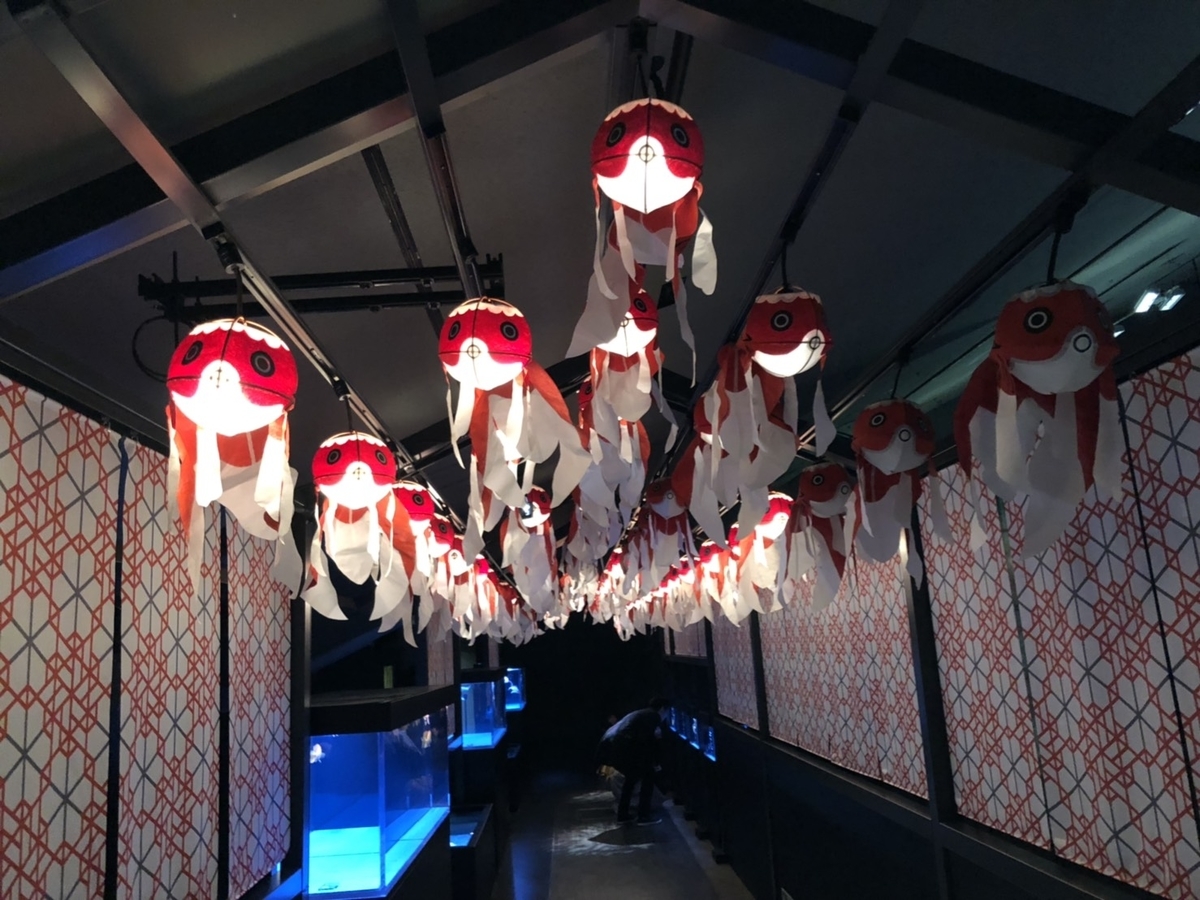 f:id:bokutonuigurumimarure:20191127223018j:plain f:id:bokutonuigurumimarure:20191127223018j:plain