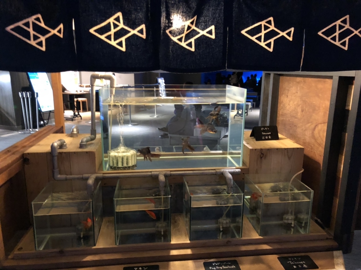 f:id:bokutonuigurumimarure:20191127223219j:plain f:id:bokutonuigurumimarure:20191127223219j:plain