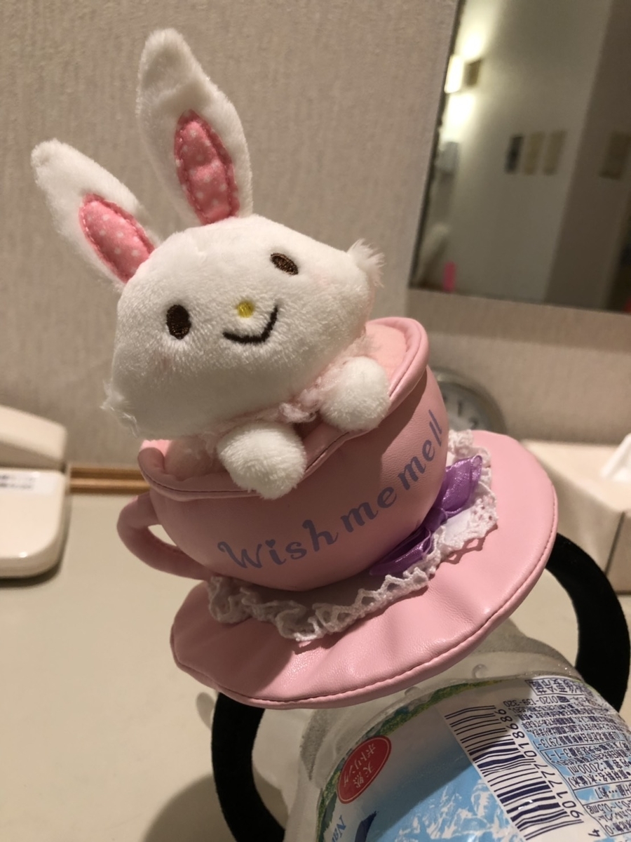 f:id:bokutonuigurumimarure:20191128002913j:plain f:id:bokutonuigurumimarure:20191128002913j:plain