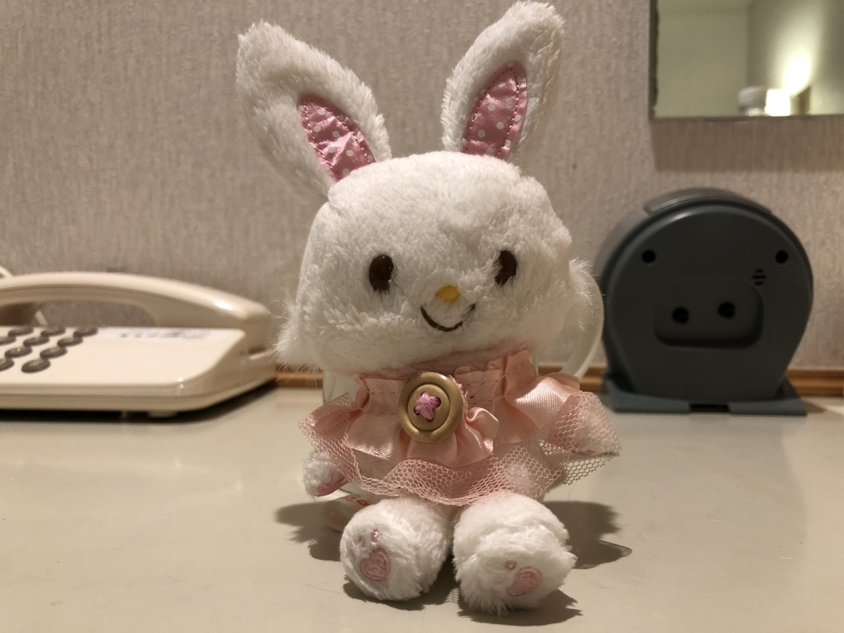 f:id:bokutonuigurumimarure:20191128003844j:plain f:id:bokutonuigurumimarure:20191128003844j:plain