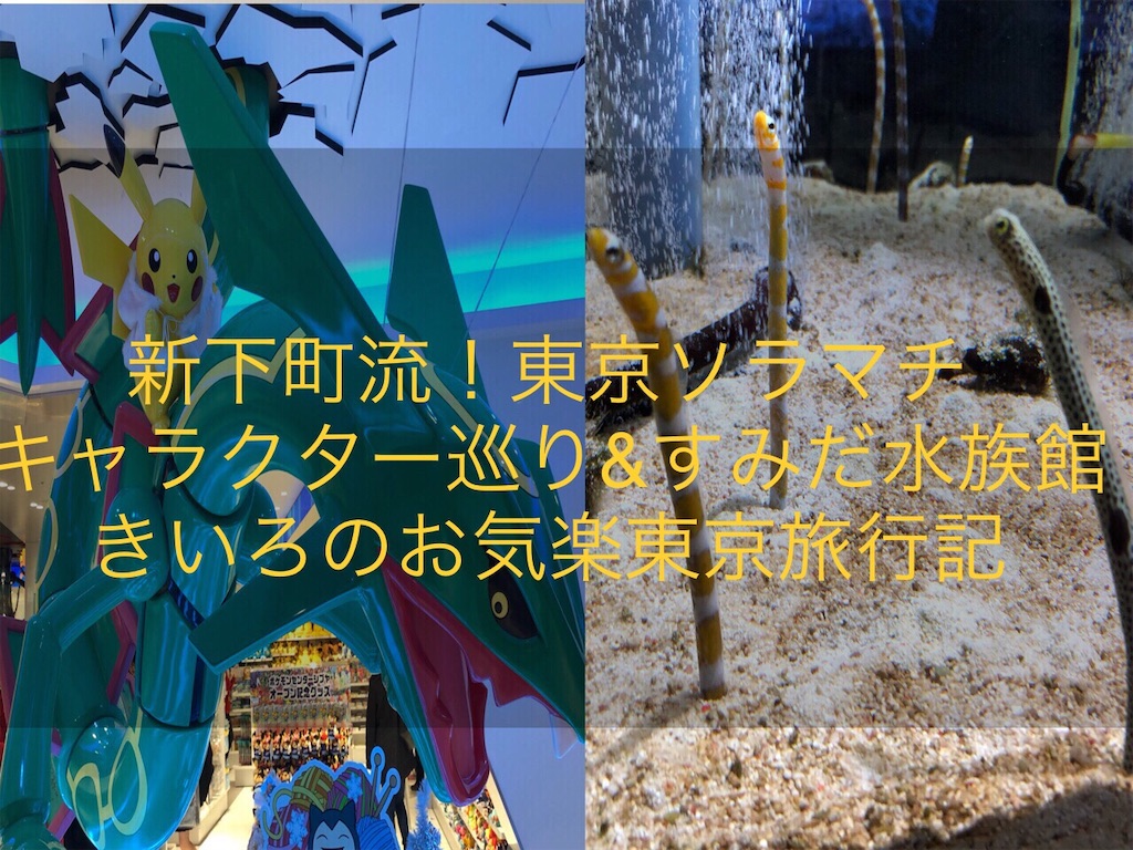 f:id:bokutonuigurumimarure:20191128012955j:image f:id:bokutonuigurumimarure:20191128012955j:image