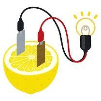 f:id:boldmarker:20220220151451j:plain