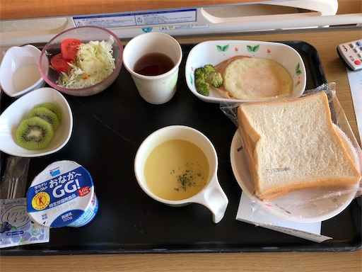 f:id:bolet:20190320095315j:image
