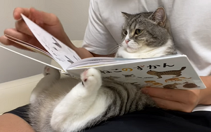 f:id:bolla:20210812235152p:plain