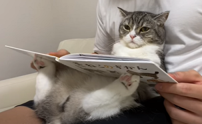 f:id:bolla:20210812235434p:plain