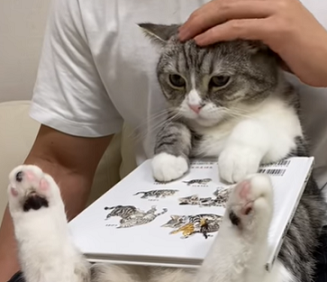 f:id:bolla:20210812235634p:plain