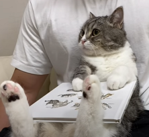 f:id:bolla:20210813000232p:plain