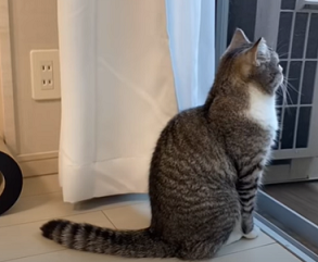 f:id:bolla:20211018010310p:plain