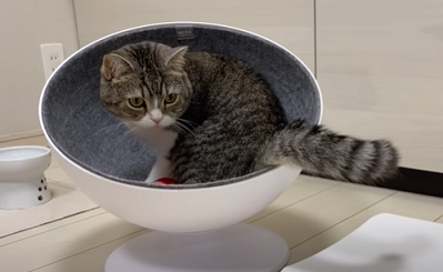 f:id:bolla:20211020024616p:plain