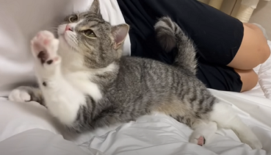 f:id:bolla:20211023034148p:plain