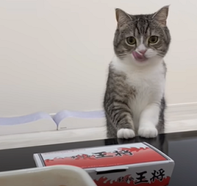 f:id:bolla:20211127005729p:plain