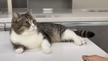 f:id:bolla:20211205013753p:plain