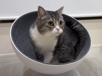 f:id:bolla:20220111230811p:plain