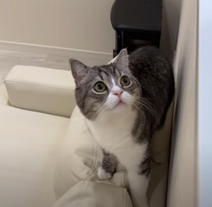 f:id:bolla:20220115044921p:plain