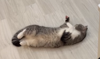 f:id:bolla:20220116025731p:plain