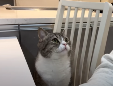 f:id:bolla:20220116032022p:plain