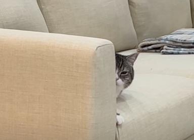 f:id:bolla:20220116034135p:plain