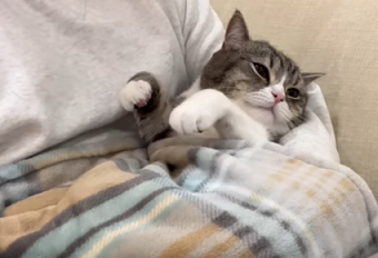 f:id:bolla:20220116034320p:plain