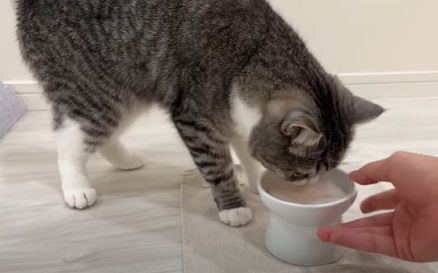 f:id:bolla:20220119021222p:plain