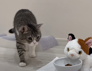 f:id:bolla:20220120035320p:plain