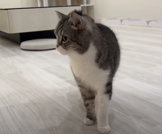 f:id:bolla:20220123025917p:plain