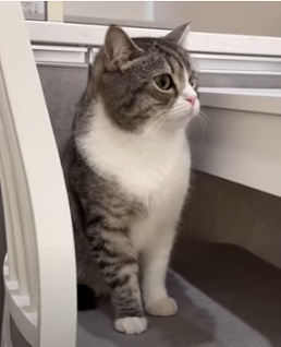 f:id:bolla:20220123030120p:plain