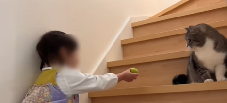 f:id:bolla:20220123030351p:plain