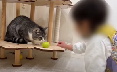 f:id:bolla:20220124021910p:plain