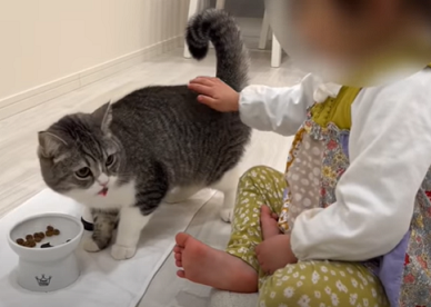 f:id:bolla:20220124022225p:plain