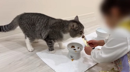 f:id:bolla:20220124022511p:plain