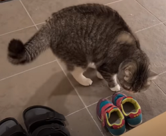 f:id:bolla:20220124022807p:plain