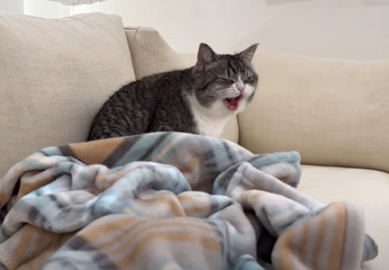 f:id:bolla:20220213210001p:plain