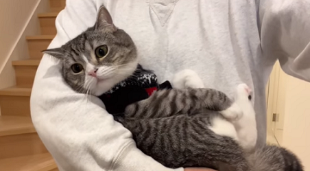 f:id:bolla:20220213213820p:plain